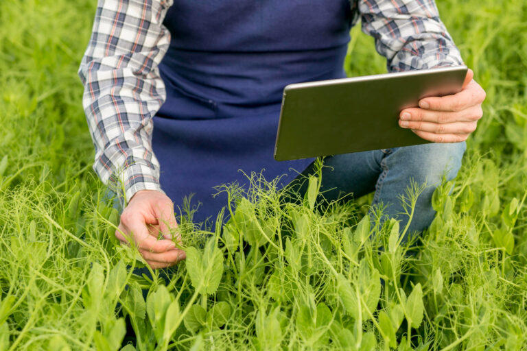 Avaliação técnica de propriedade rural com solo agrícola e recursos hídricos em Portugal